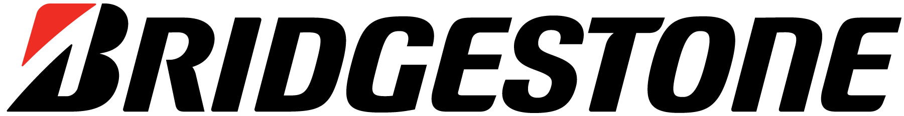 Bridgestone - Enterprise sustainability client